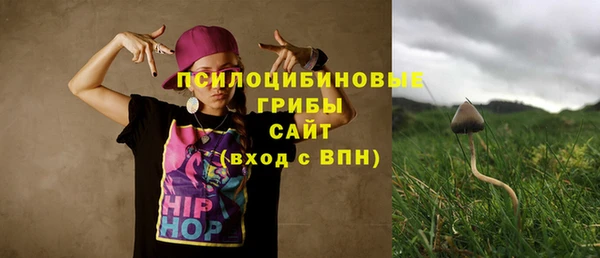 прущие грибы Михайловск