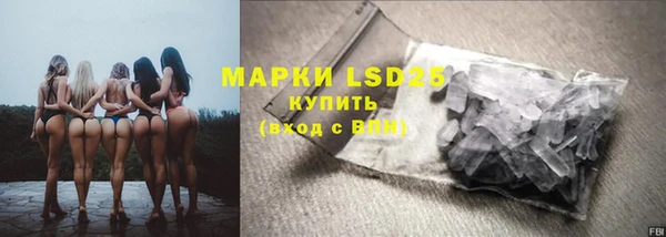 прущие грибы Михайловск