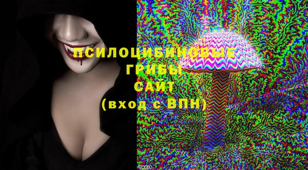 стафф Михайлов
