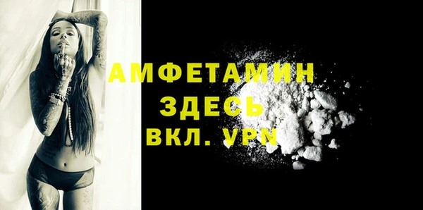 стафф Михайлов
