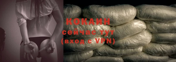 прущие грибы Михайловск