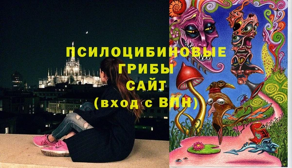 стафф Михайлов