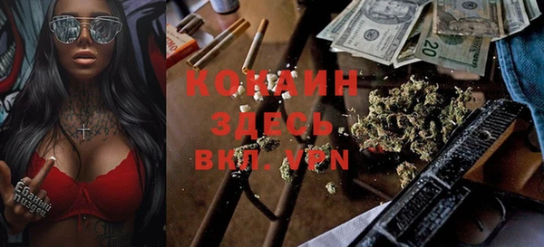 прущие грибы Михайловск