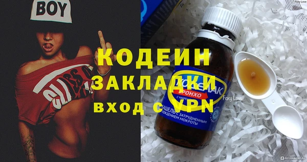 прущие грибы Михайловск