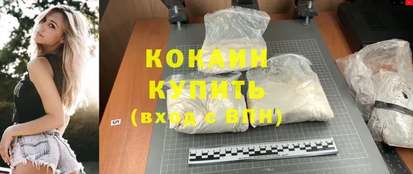 прущие грибы Михайловск