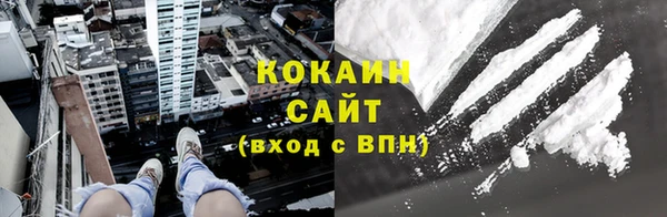 прущие грибы Михайловск