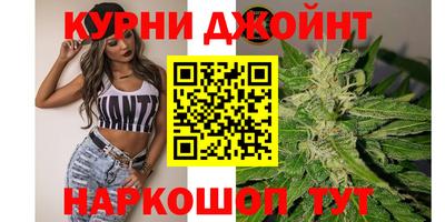 молекула духа Жуковский