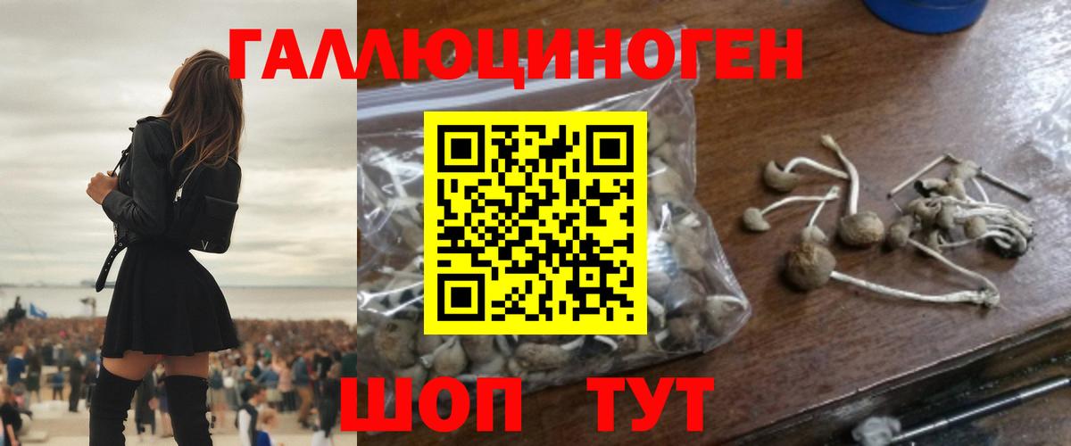 Галлюциногенные грибы прущие грибы Урус-Мартан